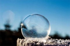 2025年出生木蛇年：五大星座運勢最佳解析