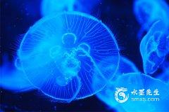 月亮十宮的人怎么樣 月亮落入宮位如何