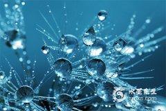 五行屬水的風(fēng)水?dāng)[件有哪些？什么擺件屬水？