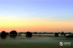 紫微斗數(shù)：子女富貴與夫妻宮星曜解析