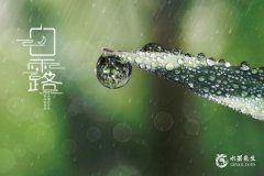鼻尖有痣的女人面相，鼻子痣的位置與命運