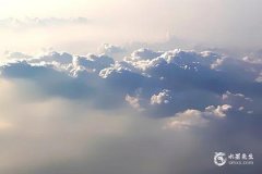 廉貞在兄弟宮是什么意思 兄弟宮廉貞代表什么