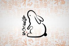 兔寶寶最旺父母屬相 什么屬相不能要兔寶寶