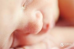 草字頭一個(gè)壯是什么字 荘字取名的寓意詳解