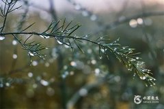 打噴嚏時(shí)辰預(yù)測(cè)吉兇
