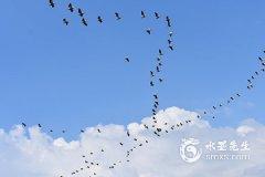 星座十二宮位代表什么意思？