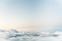 天梁在官祿宮是什么意思 官祿宮天梁陷是什么意思