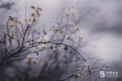 葫蘆家里面放幾個最好