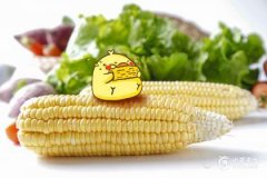 屬雞2023年8月18日運(yùn)勢(shì)查詢，2023年8月18日屬雞運(yùn)氣詳解
