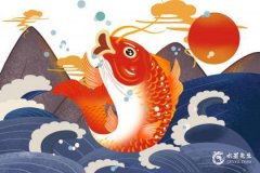 衛(wèi)生間在中間風(fēng)水好嗎？廁所風(fēng)水方位對人的影響