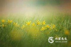 犯太岁的人参加葬礼需要注意什么,不注意会有什么后果?