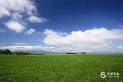 95年屬豬最佳婚配屬相解析