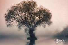 精选带三点水最吉利的字男孩名字大全
