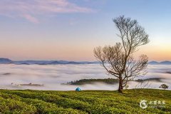 门上贴日月神分左右吗?端午节习俗解析