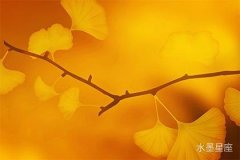 金星在第十一宮逆行代表什么，暗示你的桃花運命運走勢