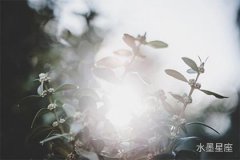 獅子座怎么招桃花