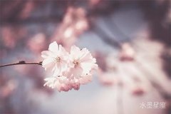 摩羯座的桃花運是誰