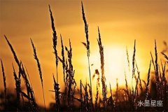 冥王星在第三宮逆行意味著什么？婚姻前景可能立刻發(fā)生翻天覆地的變化