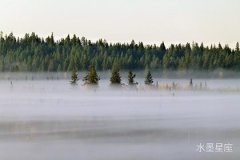 如何應(yīng)對海王星在第五宮逆行，解鎖桃花運(yùn)秘籍