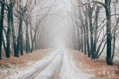 木星在第十宮逆行，影響桃花運的奇異現象揭秘