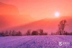 乙木生于未月通根解析：五行相生相