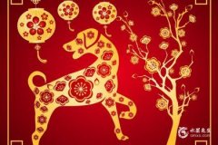 喜和用神一般指什么生肖其实无定论