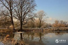 丙火生于秋天身强弱命理分析