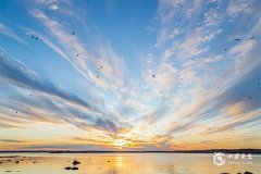 2025年喜火土的人迎来巅峰，喜火土适合在哪个方向