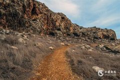 甲木春季命理：火金用神选择解析