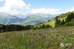 把双鱼女宠上天的星座男们