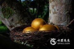 幸运色查询颜色 每个人都能查到一套吗