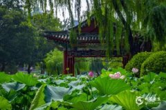 大暑古诗里的夏日气象：诗人如何写最热节气