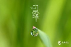 白露节气饮食养生：防燥润肺，这样吃更舒服