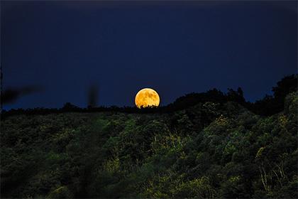 韦特塔罗牌月亮牌（The Moon）解析，月亮牌的含义