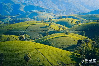 金星在第八宫逆行情感难顺,拥有幸福婚姻的秘诀在哪里_水墨星座
